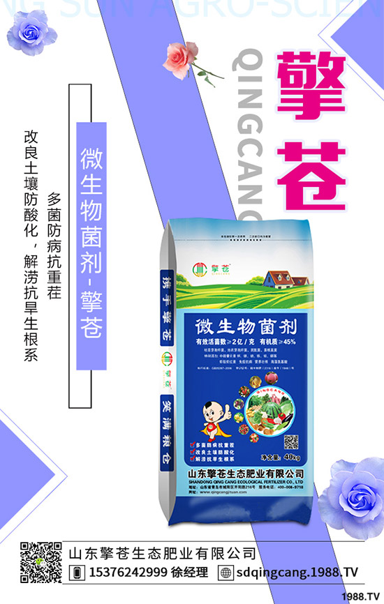     ���؃r(ji��)���ل�(chu��ng)�µ���2019��10����Ѯ��������C�Ϸ�����