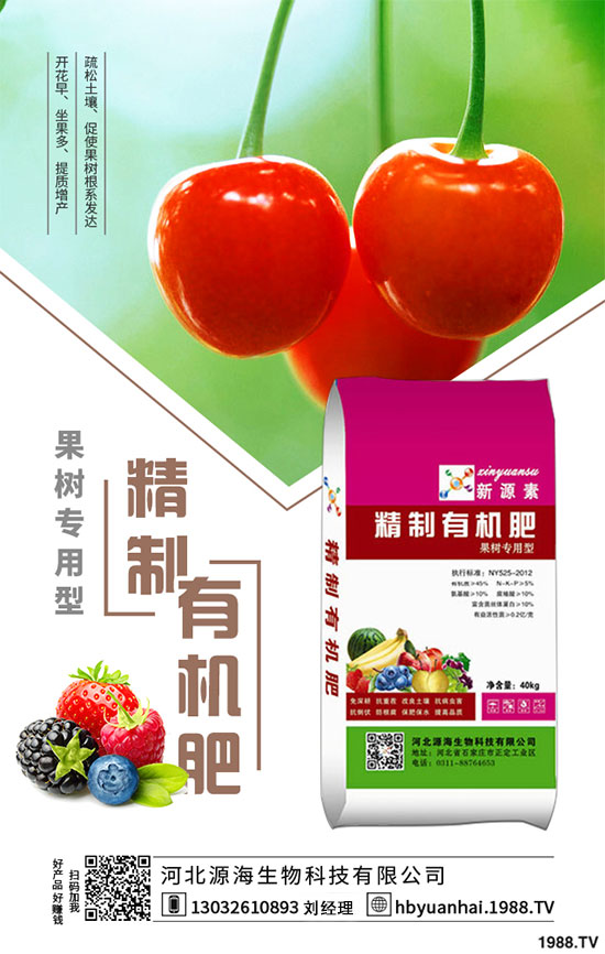 2020���㹽�Nֲǰ�������2020���㹽�Nֲٍ�X�᣿