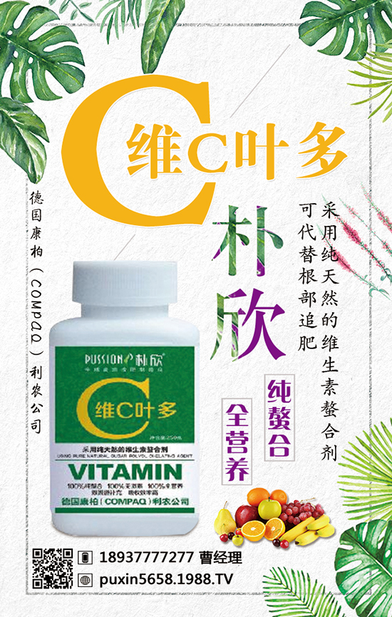 ��(gu��)���أ�COMPAQ�����r(n��ng)��˾