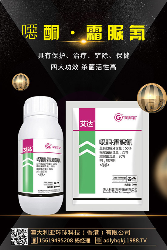     ������������xُ������������ُ�Iע�����(xi��ng)���`�^(q��)��