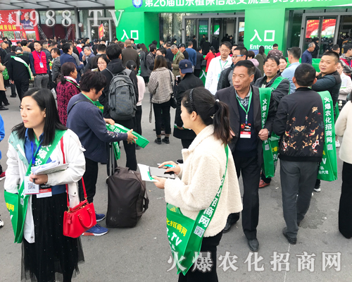     2019ɽ�|����ֲ���p�������r(n��ng)�����̾W(w��ng)��ٶ��w��