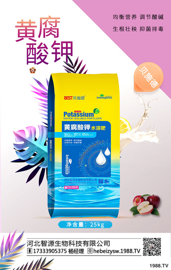 ����ը���ӷNֲ�����¹����༼�g(sh��)��