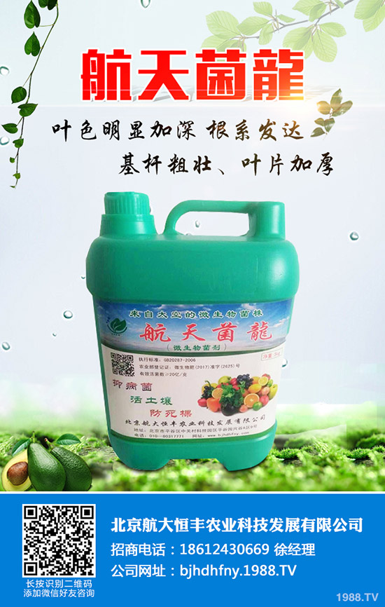 ���ֹϵķNֲ��������Щ�����ֹ���ηNֲ�׸߮a(ch��n)��