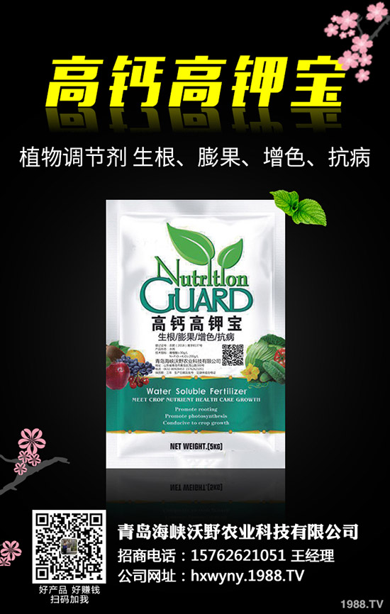 ���@�r����ݷž���2019��11��12�Շ���(n��i)���@�r�������