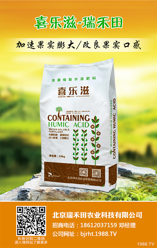 2019��11��12�ս��ո������؏S�҈�(b��o)�r(ji��)�^�m(x��)�µ������غ����A(y��)�y(c��)��