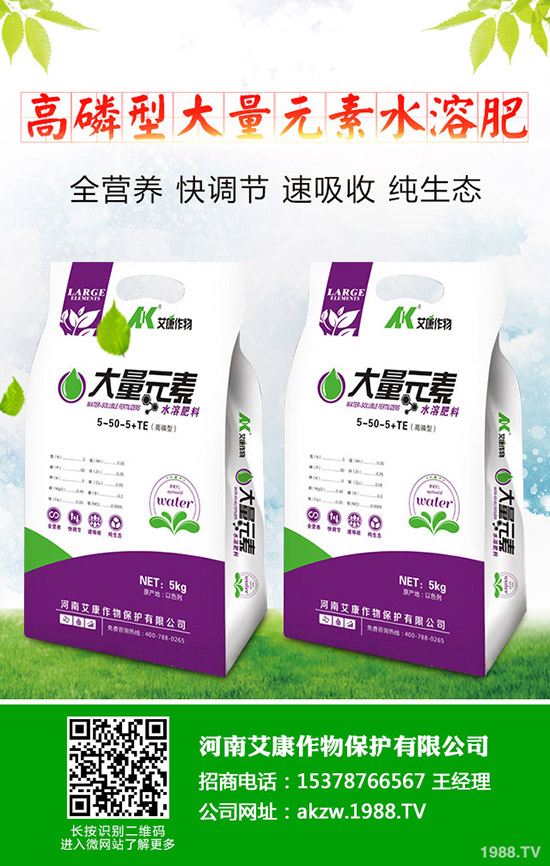 ���؃r��Εr���{(di��o)�������������������߄ݷ���2019-11-13