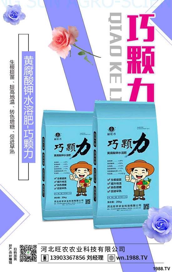 ���؃r(ji��)�����һ�����r(ji��)���»�������2019-11-13���س��S�r(ji��)���A(y��)��(b��o)��