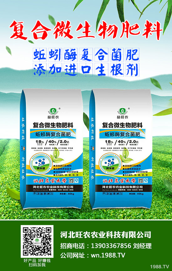 吃菠蘿蜜有什么好處,菠蘿蜜的功效與作用有哪些?
