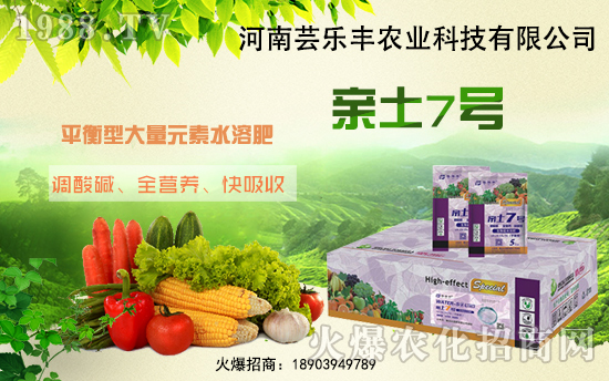 �����|���S�ɹ����v1988.TV���_���r(n��ng)�Y�N����������