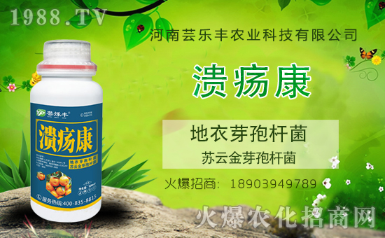 �����|���S�ɹ����v1988.TV���_���r(n��ng)�Y�N����������