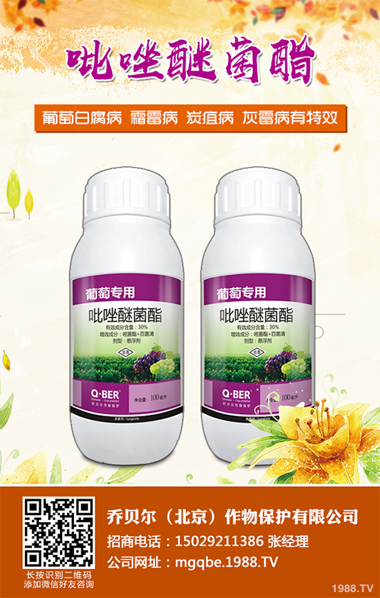     ��������X�������r(ji��)��