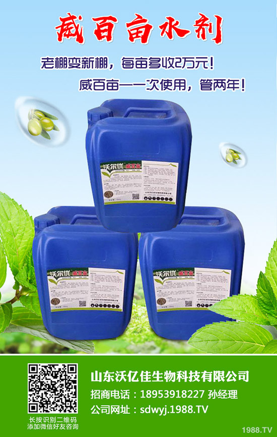 ���ʲô�r(sh��)��Nֲ�������ô�Nֲ�ܸ߮a(ch��n)��