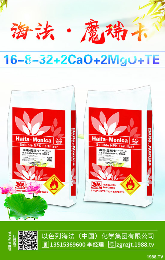     2019��11����Ѯ������@�r�������߄ݾC�Ϸ�����