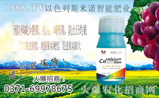 ��ɫ��˹���Z�ɹ����v�r(n��ng)���W(w��ng)���M܊�W(w��ng)�j�������I����