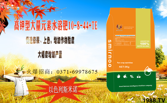 ��ɫ��˹���Z�ɹ����v�r(n��ng)���W(w��ng)���M܊�W(w��ng)�j�������I����