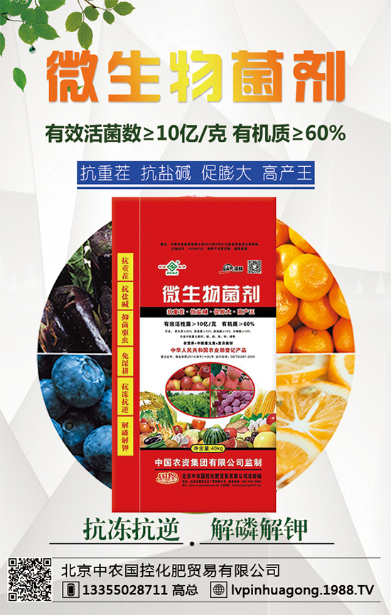 �������r(n��ng)�ٶȔy��1988.TV���y���ل�(chu��ng)���x����