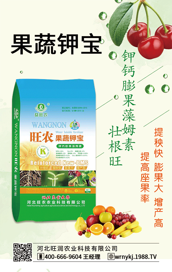 �����P(gu��n)ϵ�����A���ӱ����r(n��ng)�c1988.TV�_����ƪ����