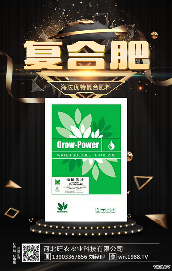 �����P(gu��n)ϵ�����A���ӱ����r(n��ng)�c1988.TV�_����ƪ����