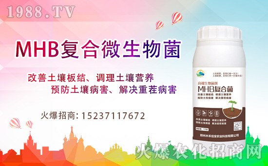 ����ľ�̼ь��׺�1988.TV���_���W(w��ng)�j(lu��)������ģʽ��