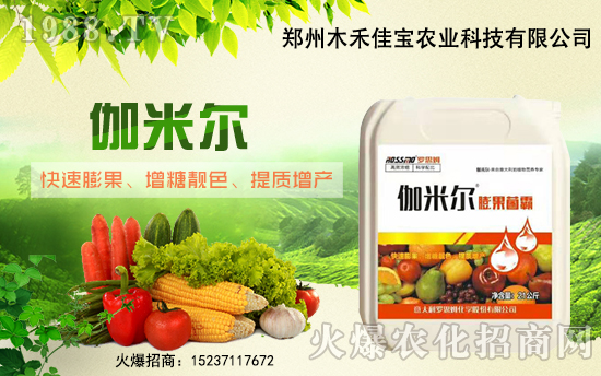 ����ľ�̼ь��׺�1988.TV���_���W(w��ng)�j(lu��)������ģʽ��