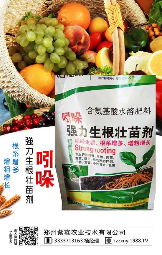 春芝麻種植時(shí)間是什么時(shí)候嗎？春芝麻種植管理技術(shù)！