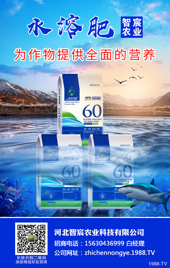 ���ӽ�����ʲôԭ����ɵ������ӽ�����η��Σ�