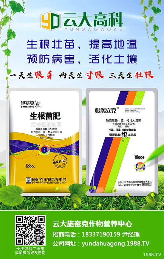 ��������ֲ��Ƥ�Ɇ�����Ƥ�ɶ�����ֲ����