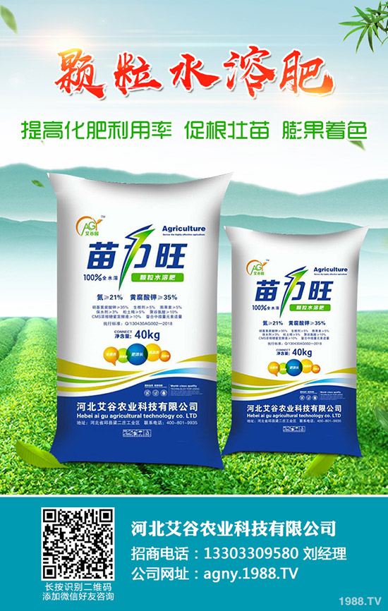 2019-11-30�������¶��@�r(ji��)���Ո�(b��o)��������@��I(y��)���S�����r(ji��)һ�[��