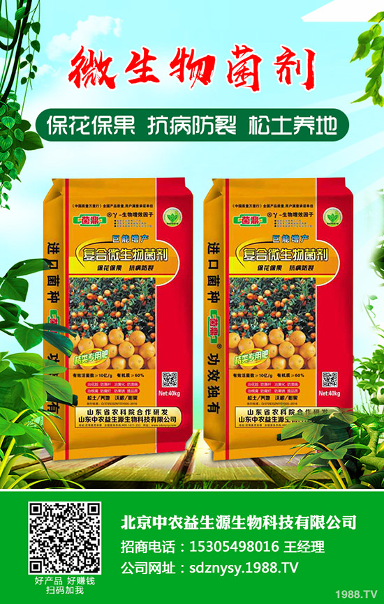 2019-11-30尿素冬儲(chǔ)進(jìn)展緩慢！各地區(qū)尿素行情分析！