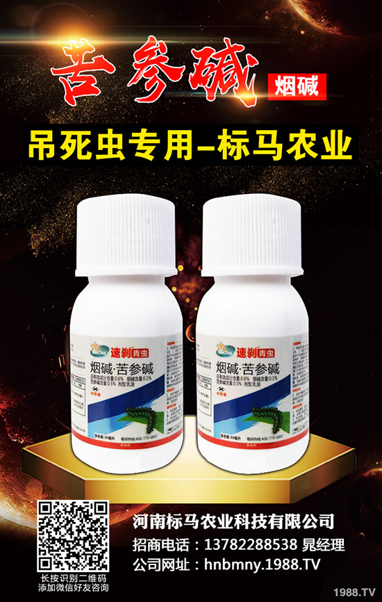 ��(gu��)��(n��i)���x(ch��ng)���r(ji��)���Ј�(ch��ng)�����܈�(b��o)2019.11.30