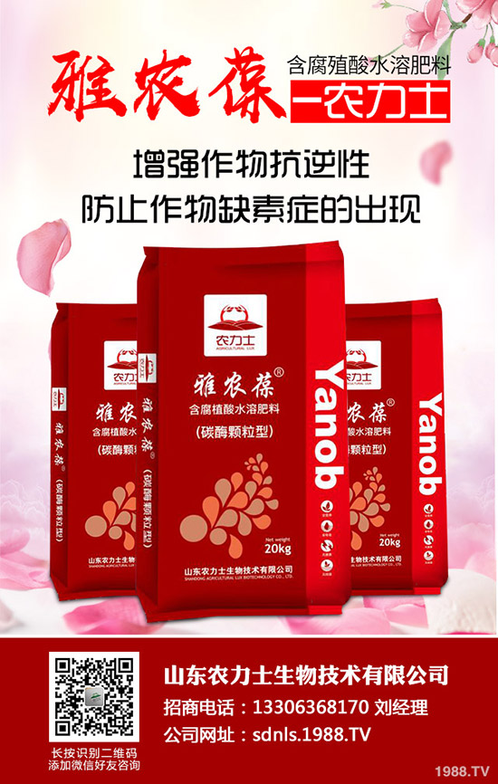     ����(ch��)δ�_(k��i)ʼ�����@����δ�������ն��@���³��S�����r(ji��)��2019-11-5