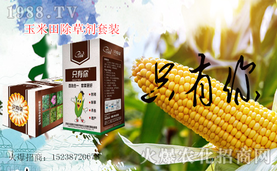 1988.TVϲӭ���������������ﱣ�o(h��)�_���W(w��ng)�j(lu��)���������̣�