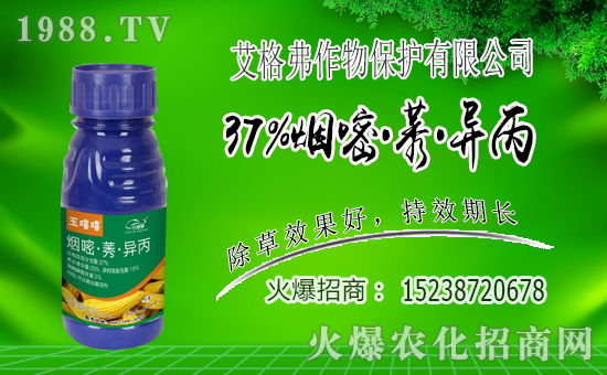 1988.TVϲӭ���������������ﱣ�o(h��)�_���W(w��ng)�j(lu��)������������