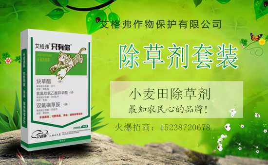 1988.TVϲӭ�����ѣ��������ﱣ�o(h��)�_���W(w��ng)�j(lu��)������������