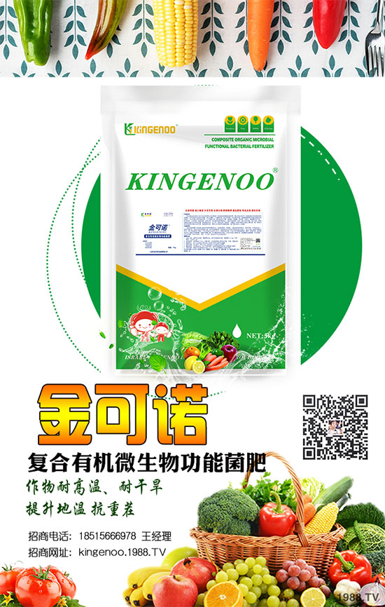 ��(zh��n)�Ժ���������������Z���H���F�ٺ�1988.TV���y�ֹ���(chu��ng)��(zh��n)����