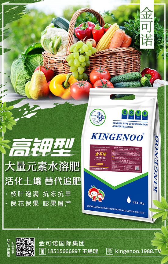 ��(zh��n)�Ժ���������������Z���H���F�ٺ�1988.TV���y�ֹ���(chu��ng)��(zh��n)����