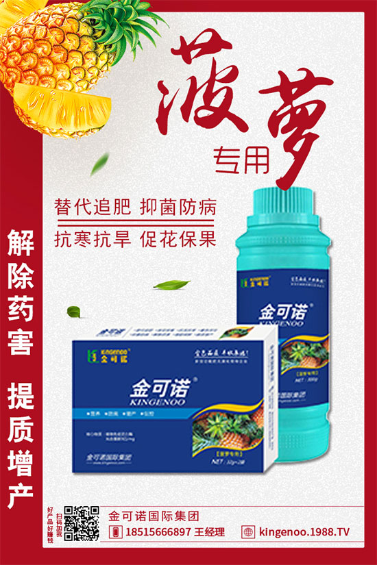 ��(zh��n)�Ժ���������������Z���H���F�ٺ�1988.TV���y�ֹ���(chu��ng)��(zh��n)����