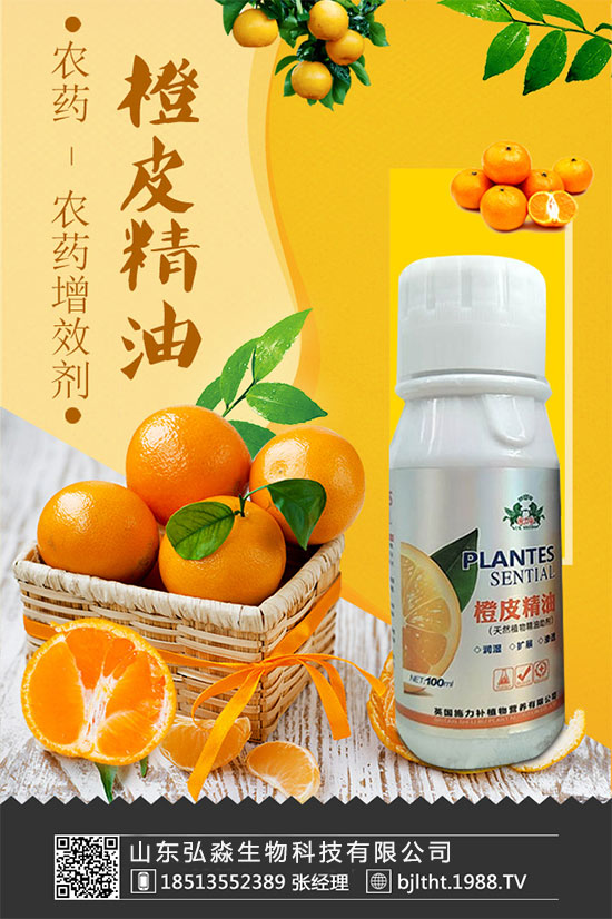 ɽ�|�����ٶȔy��1988.TV���y�ֹ���(chu��ng)��(zh��n)��(j��)�����Aδ��(l��i)��