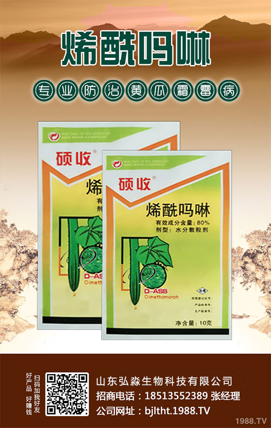 ɽ�|�����ٶȔy��1988.TV���y�ֹ���(chu��ng)��(zh��n)��(j��)�����Aδ��(l��i)��