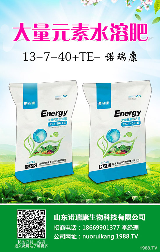     �ͺϷʶ������߳��_������2019��11��8�����ͺϷʃr���Ո�