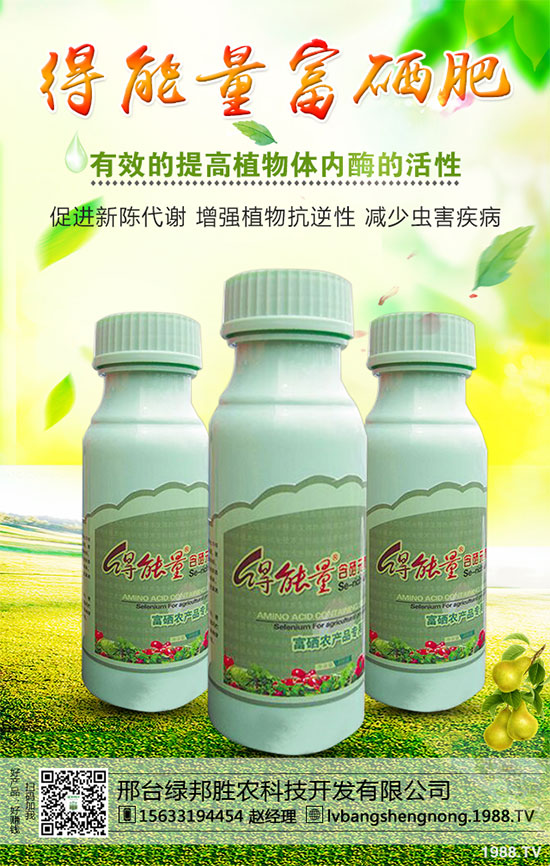 ���_(t��i)�G���ٶȔy��1988.TV���_�ؾW(w��ng)�j(lu��)�����¾�����