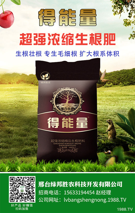 ���_(t��i)�G���ٶȔy��1988.TV���_�ؾW(w��ng)�j(lu��)�����¾�����