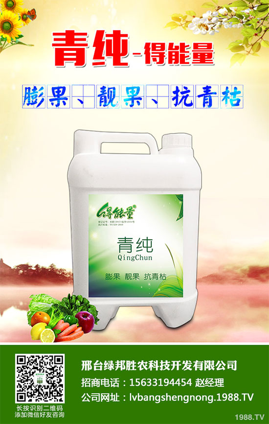 ���_(t��i)�G���ٶȔy��1988.TV���_�ؾW(w��ng)�j(lu��)�����¾�����