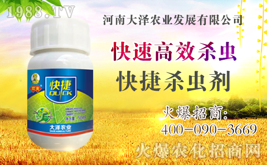 �������\�l(f��)չ�����ϴ���r(n��ng)�I(y��)�ٴκ��s1988.TV