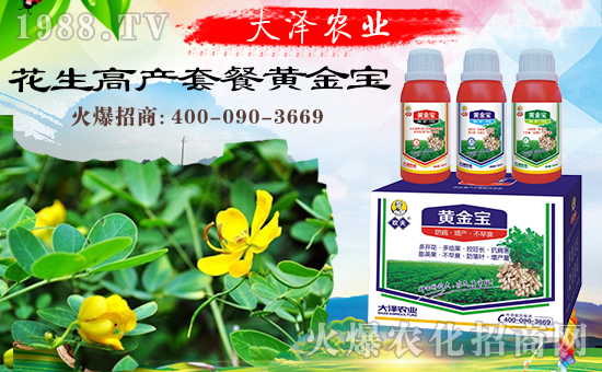 �������\�l(f��)չ�����ϴ���r(n��ng)�I(y��)�ٴκ��s1988.TV