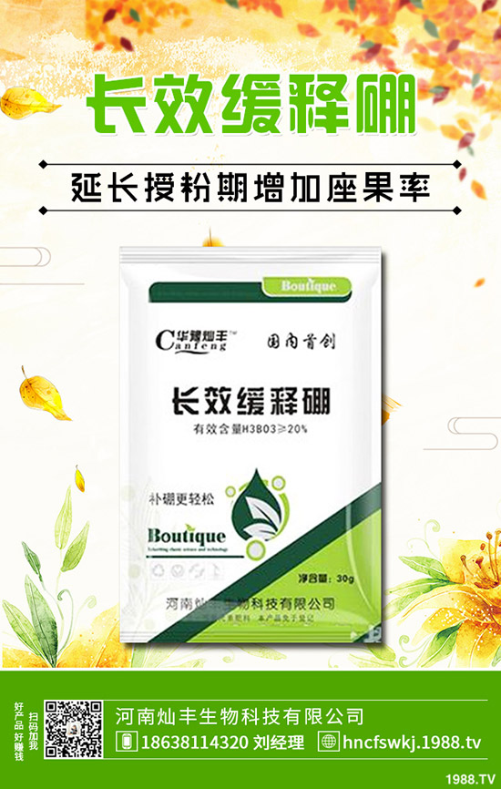 防風(fēng)種植技術(shù)有哪些？防風(fēng)的田間管理