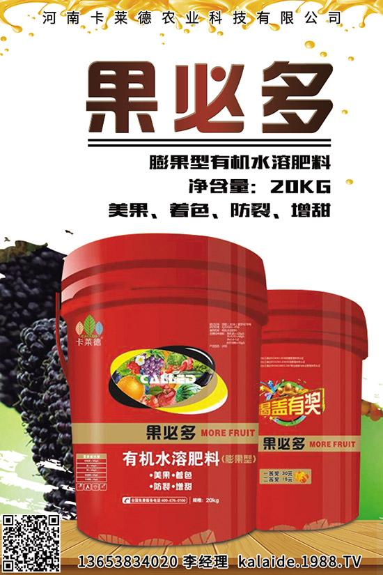 ���}������ԓ��ηNֲ�������@���c(di��n)�����²��߮a(ch��n)