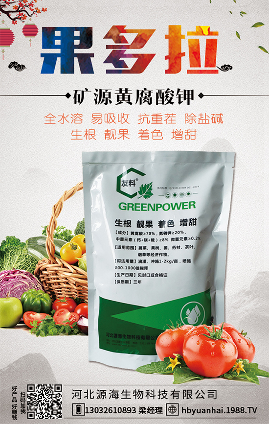 ������Ճr(ji��)������Xһ����2020�����Nֲǰ�������