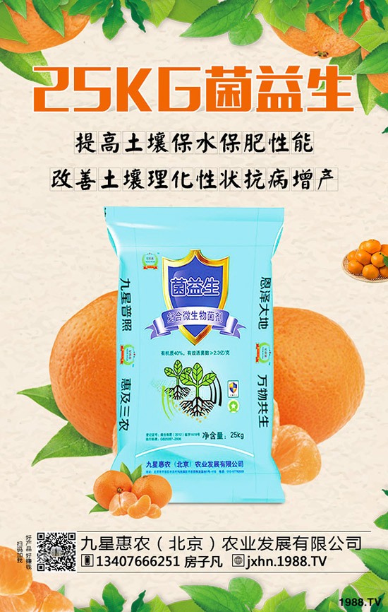 ���Ә���ô�Nֲ�����Ә�������g(sh��)��