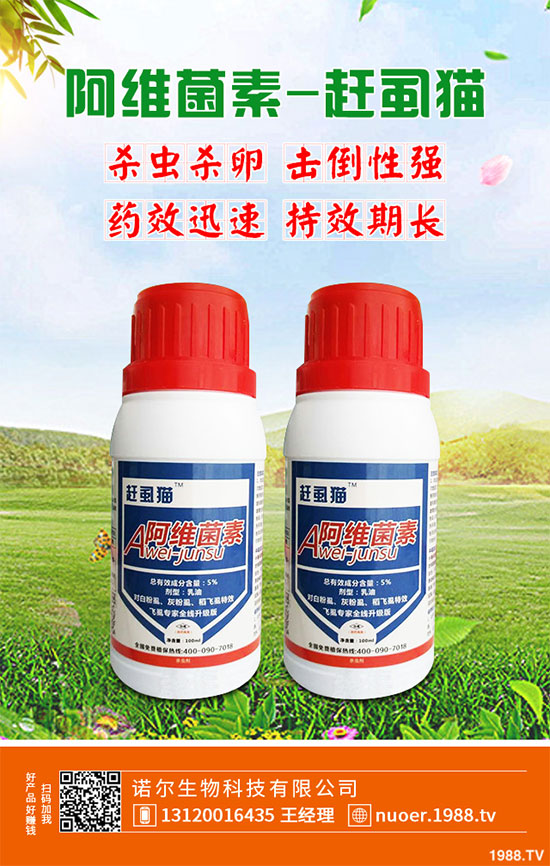 ��䚢�x���r��